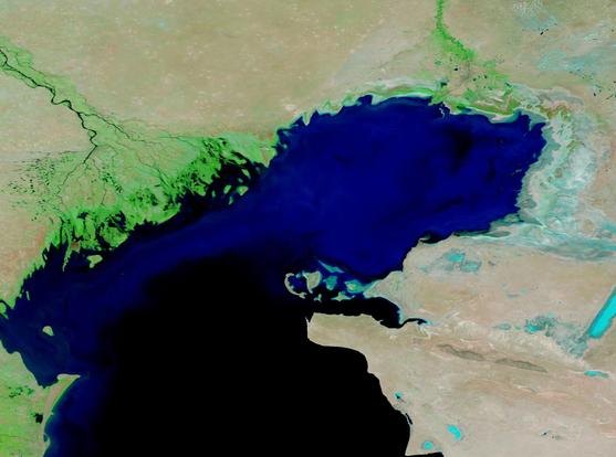 Shrinking_Caspian_Sea_(MODIS_2024-10-08).jpg