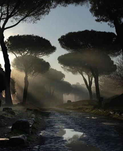 Photography. A color photo showing a section of the Via Appia in Rome at sunrise or sunset. The street is made of old cobblestones and has puddles that reflect the light. To the left and right of the road are tall trees with broad, flat crowns that look like umbrellas. The sun shines through the trees and creates long, oblique rays of light that become visible through the haze or mist in the air. The rays of light and the mist give the picture a mystical and tranquil atmosphere. The colors are predominantly dark with shades of green and brown, while the sky appears in a light blue. The combination of the historic cobblestones, the majestic trees and the dramatic play of light makes the picture particularly interesting and atmospheric.
Info: The Via Appia is a Roman road whose construction began in 312 BC under the consul Appius Claudius Caecus. Today, the Via Appia is an important part of the Italian road network as state road 7 (SS 7) and largely follows the course of the ancient road.