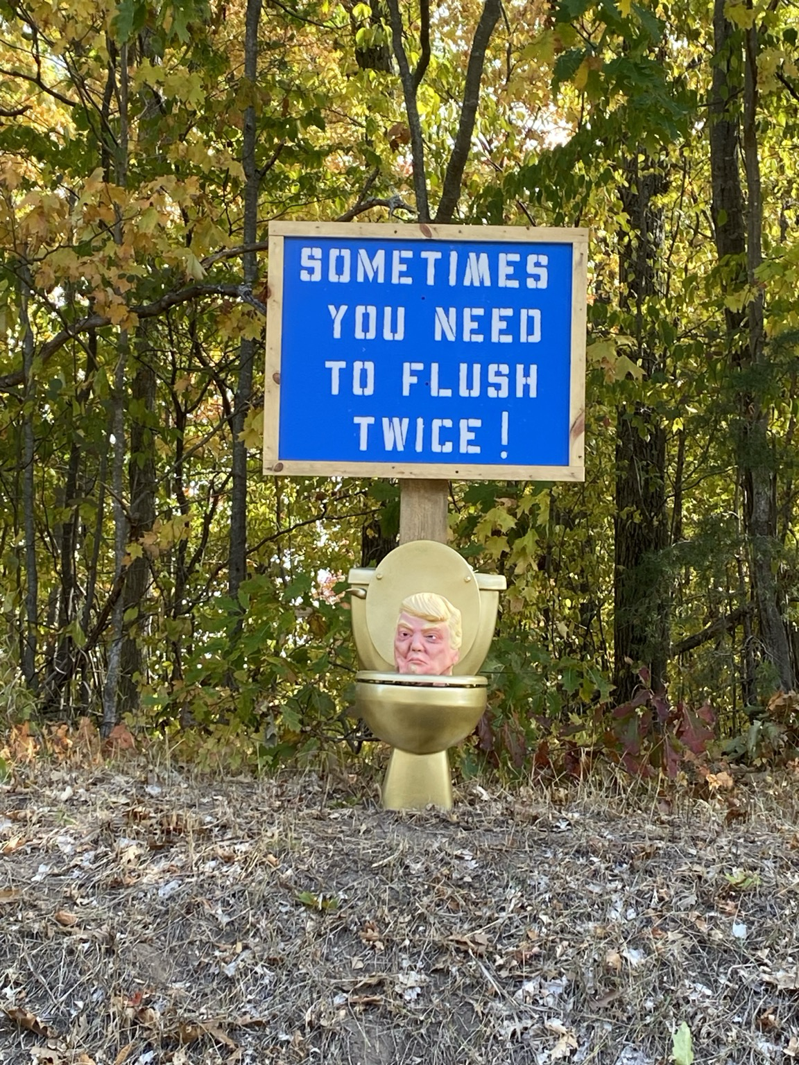 A Trump head in a golden toilet with a sign that says “Sometimes you have to flush twice.”