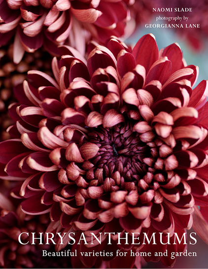 Front cover of Chrysanthemums by Naomi Slade with photography by Georgianna Lane. The cover shows a closeup of bronze-pink chrysanthemum flowers