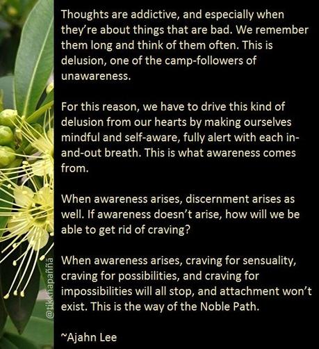 Thoughts are addictive, and especially when they’re about things that are bad. We remember them long and think of them often. This is delusion, one of the camp-followers of unawareness.
For this reason, we have to drive this kind of delusion from our hearts by making ourselves mindful and self-aware, fully alert with each in-and-out breath. This is what awareness comes from.
When awareness arises, discernment arises as well. If awareness doesn’t arise, how will we be able to get rid of craving?
When awareness arises, craving for sensuality, craving for possibilities, and craving for impossibilities will all stop, and attachment won’t exist. This is the way of the Noble Path.
~Ajahn Lee