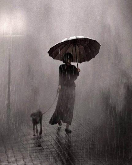 Photography. A black and white photo of a woman with a dog in the pouring rain. The woman appears as a dark silhouette, while the backlight from the streetlights penetrates a misty street scene, showing her in the spraying rain with an umbrella in her hand. Her bright skirt flutters as she moves, and a small dog runs with her along the cobbled path through the darkness. The image is elegantly simple, beautifully composed, makes no pretensions to grandeur, and like most great photographs, the narrative is both clear and mysterious.