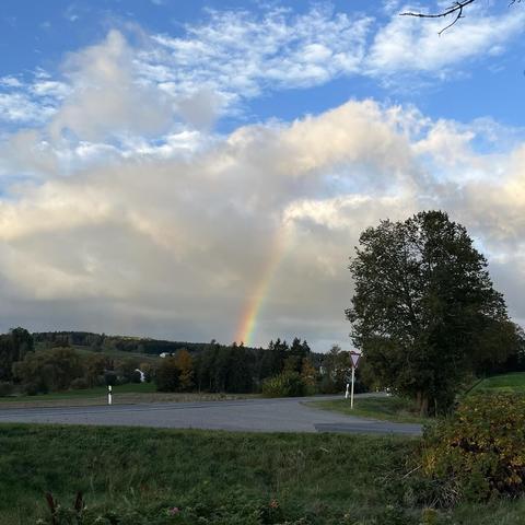 Square photograph of an autumn morning. Green grass in the foreground with a green-brownish shrub on the right, a road crossing further away with a green tree on the right, a hill with green vegetation on the horizon. The sky, taking up half of the picture, is cloudy with blue bits and a piece of a rainbow touching the ground and reaching just into the bottom gray clouds.