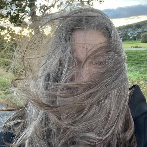 Square photograph of Abyss Cannonballs head and shoulders in front of field, tree, forest and sky. She is wearing a black woolen coat and her face is obscured by her long brown and gray hair being    blown all around her head.