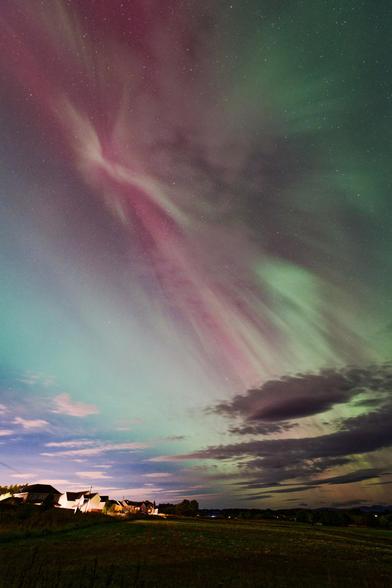 Brilliant red and green aurora, the corona floating above the local housing development