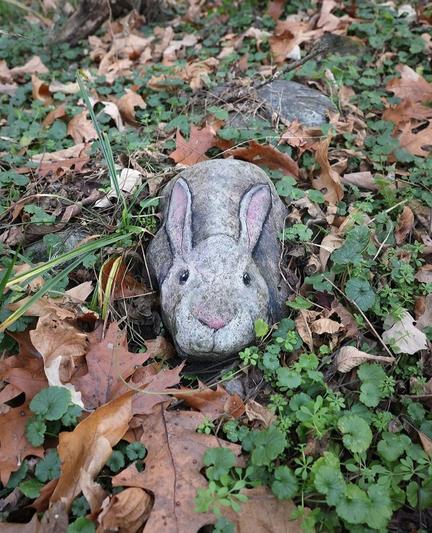 Streetart. A pretty rabbit (called Milena) has been painted in chalk on an elongated gray stone lying on the forest floor. Between clover and autumn leaves, Milena looks up at the viewer. Title: "Milena can hunker down like nobody's business."