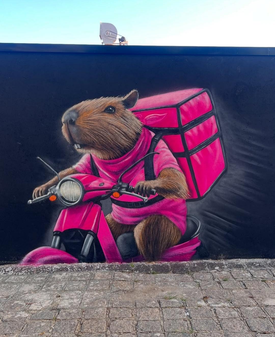 Streetartwall. A very cute cartoon-style capybara was sprayed/painted on the outside wall of a flat, modern building (a japanese food delivery service). It shows a capybara with a pink outfit and a pink delivery backpack, riding around on a moped. The photo only shows a section, as the whole building has been embellished with various smaller capybaras. It is the restaurant's mascot.
Info: A capybara is a water pig that lives mainly in South America. It is related to the guinea pig, looks somewhat plumper, has a large head, long, rough fur and webbed toes. It is about 130 cm long.