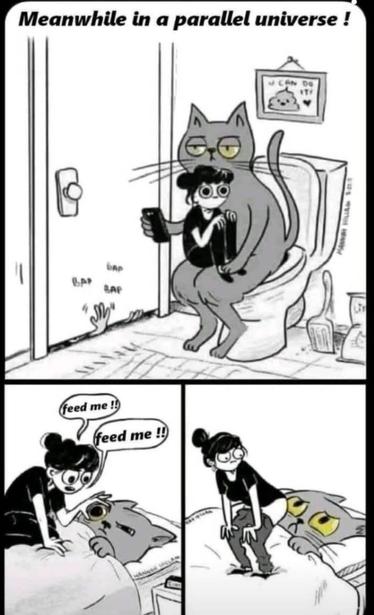Meanwhile in a parallel universe [where people are cat-sized, cats are people-sized, their roles reversed] !

A human sits on the cat's lap while the cat is sitting on the toilet, phone in hand.
Later the cat is in bed, the human on top of it demanding "Feed me! Feed me!"
Finally the human sticks their bare ass in the cat's face, who looks none too pleased.