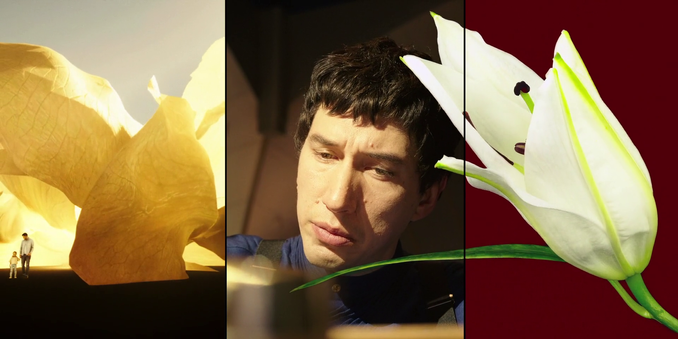 A three panel shot, showing from left to right: An extremely wide shot of a man holding a child's hand while walking under a flower like flowing yellow structure. A close up of a dark haired man looking down as he writes on an off-screen piece of paper; his face is brightly lit. An extreme close up or a barely opened white flower. Its shape reminds us of the first shot.