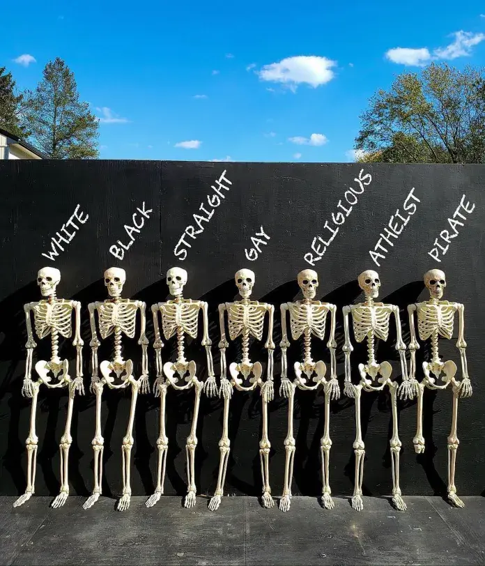 Equality skeletons by ItSkeletal – Seven skeletons stand side by side against a black background, each labeled differently—White, Black, Straight, Gay, Religious, Atheist, and Pirate. While they all share the same skeletal form, the pirate stands out <br />with one leg missing, reinforcing the idea that even in uniformity, individuality exists.