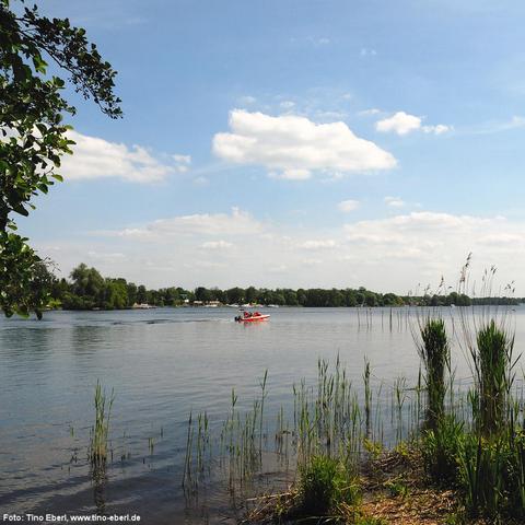 Ruhiger See mit Schilf am Ufer im Vordergrund. Ein kleines rotes Motorboot mit mehreren Personen fährt über das Wasser, das sanfte Wellen bildet. Am gegenüberliegenden Ufer sind dichte grüne Bäume und einige kleine Gebäude oder Boote sichtbar. Der Himmel ist überwiegend blau mit wenigen weißen Wolken. Ein Ast mit grünen Blättern ragt links ins Bild.