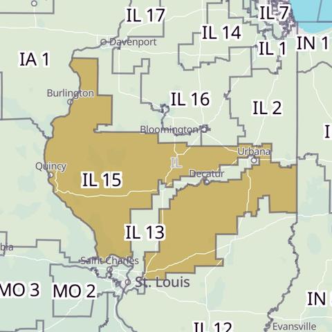 Map of the 15th congressional district of Illinois which is a blob with a very conspicuous void running through the middle of it.