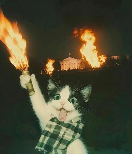 A black and white cat wearing a checkered scarf is holding a lit torch in its raised paw. The cat appears to be joyfully shouting with its mouth and eyes open wide. In the background, the White House is on fire with large flames visible against the night sky.