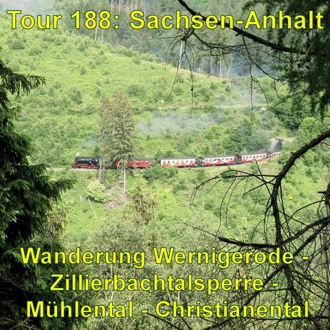 Die Brockenbahn, ein roter Dampfzug, schlängelt sich an einem grünen Hang entlang, gesehen durch einen natürliche Rahmen aus Nadelbaumzweigen von der gegenüberliegenden Talseite.
