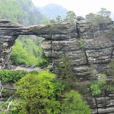 Massiver Sandsteinbogen verbindet zwei Felswände mit markanten Schichtungsstrukturen. Auf dem gewölbten Dachansatz wachsen vereinzelt Kiefern. Darunter erstreckt sich eine Steinplattform mit Außenbestuhlung, Tischen und Bänken, eingefasst von Schutzgeländern. Ein schmaler Pfad windet sich entlang der Felswand und führt unter dem Bogen hindurch. Umgebend dichte Laub- und Nadelbäume in leuchtendem Grün, im Hintergrund neblige Felsabbrüche, die in einen vegetationsbewachsenen Hang übergehen. Gedäm…