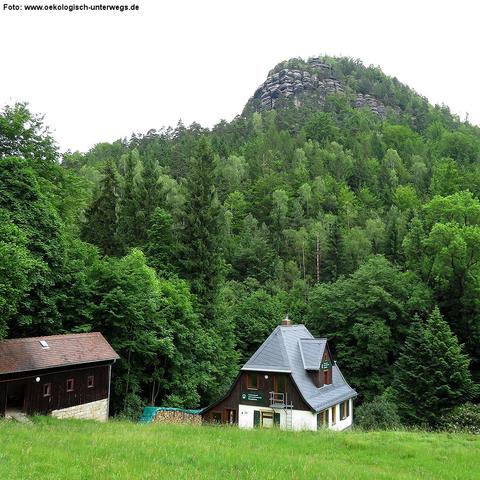 Grasgrüne Wiese erstreckt sich bis zu zwei Gebäuden am Waldrand: links eine rustikale, dunkle Scheune auf hellem Natursteinfundament, rechts ein weiß verputztes Haus mit steiler, blaufarben schimmernder Dachdeckung und kleiner Dachgaube. Zwischen den Häusern ist ein Stapel aufgeschichteter Feuerholzscheite teilweise von einer blauen Plane geschützt. Dichtbewachsener Mischwald mit hohen Nadel- und Laubbäumen bildet eine grüne Kulisse. Dahinter erhebt sich eine mächtige Felsformation aus übereina…
