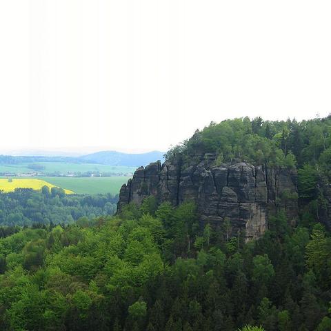 Schroffe Sandsteinfelsklippen mit senkrechten Rissen erheben sich rechts aus dichtem Wald, ihre Oberkanten von vereinzeltem Laubbewuchs gekrönt. Davor bedeckt eine Mischung aus hellgrünen Laub- und dunkleren Nadelbaumkronen den Hang. Links öffnet sich das Tal zu weiten Feldern: ein leuchtend gelbes Rapsfeld neben sattgrünem Getreide, hinter dem einige Häuser am Talrand stehen. Sanfte Hügelzüge zeichnen sich am Horizont ab, darüber spannt ein blassblauer, nahezu wolkenloser Himmel.