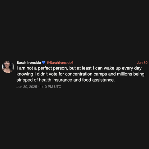 screenshot of a post by Sarah Ironside 💙 @SarahIronside6: 

I am not a perfect person, but at least I can wake up every day knowing I didn't vote for concentration camps and millions being stripped of health insurance and food assistance. 

Jun 30, 2025 · 1:10 PM UTC
