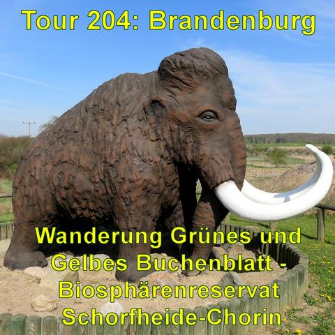Eine große Mammutskulptur mit dunkelbrauner Textur und weißen Stoßzähnen. Im Hintergrund eine flache Landschaft mit blauem Himmel.
