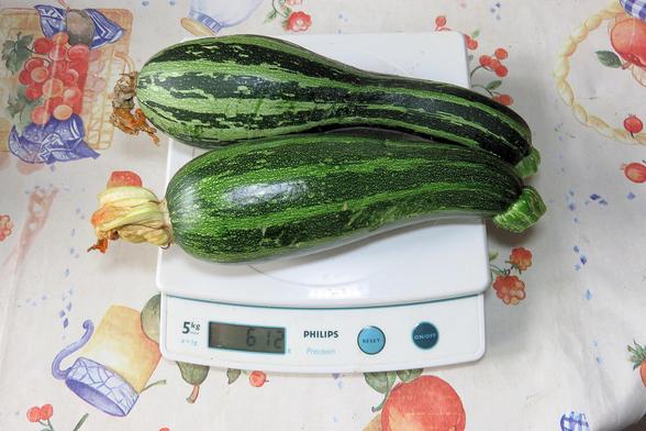 Zwei grün gestreifte Zucchini mit leicht gebogener Form liegen nebeneinander auf einer weißen Küchenwaage. Beide Früchte haben noch ihre vertrockneten Blütenreste an den Enden. Die Oberfläche der Zucchini ist glänzend und weist feine, hellere Längsstreifen auf. Die Waage steht auf einer Tischdecke mit buntem Obst- und Gemüse-Muster. Sie wiegen 612 Gramm.