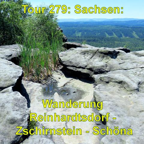 Auf einem Sandsteinfelsen befindet sich eine kleine, teilweise mit Wasser gefüllte Mulde, umgeben von Schilfgräsern. Der Felsen hat eine raue Oberfläche und grenzt an einen Abgrund mit Ausblick auf eine weite, waldreiche Landschaft. Der Himmel ist klar und wolkenlos.