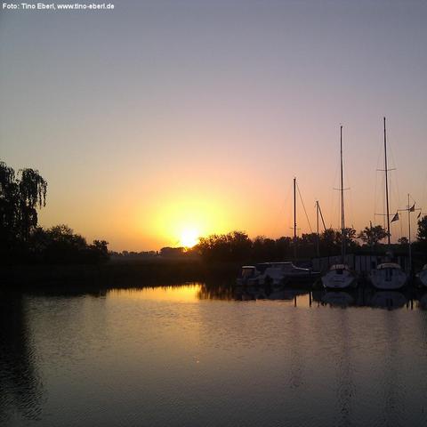Sonnenuntergang über einem ruhigen Hafen mit mehreren Segelbooten und kleinen Yachten, die am Steg vertäut sind. Die Boote spiegeln sich im glatten Wasser. Am Horizont stehen Bäume und Sträucher, die in dunklen Silhouetten gegen den orangefarbenen Himmel abheben. Das Sonnenlicht färbt den Himmel und das Wasser in warmen Gelb- und Orangetönen.