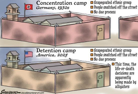 The image is a two-panel political cartoon comparing concentration camps in Germany during the 1930s to detention camps in America in 2025.

In the top panel labeled "Concentration camp, Germany, 1930s," there is an illustration of a camp with a Nazi flag. The panel includes the following annotations:

"Scapegoated ethnic group"
"People snatched off the street"
"No due process"
In the bottom panel labeled "Detention camp, America, 2025," there is an illustration of a similar camp with an Americ…