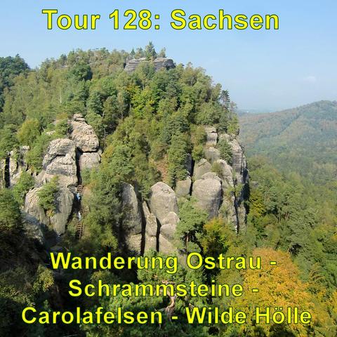 Sandsteinfelsen ragen zwischen einem dichten Wald aus Bäumen empor. Die Felsformationen sind beeindruckend und spitz zulaufend, mit Bäumen, die auf und zwischen ihnen wachsen. Die Felsen und die Vegetation verschmelzen zu einer malerischen, natürlichen Landschaft. Der Blick von oben deutet auf einen Aussichtspunkt hin, von dem aus das Foto aufgenommen wurde. Der Himmel ist klar.