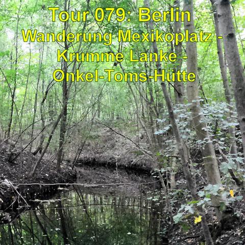 Eine waldige Landschaft, in der das Grün der Blätter und Bäume dominiert. Im Zentrum des Fotos ist ein kleiner, ruhiger Waldbach zu sehen, dessen stilles Wasser die umgebenden Bäume und das Geäst spiegelt. Über das Wasser führt kein sichtbarer Weg; stattdessen liegen umgefallene Äste und Bäume im und am Wasse. Die Szene wirkt natürlich und unberührt, was auf ein abgelegenes Gebiet hinweist. Es ist ein stiller, feuchter Ort zu sein, der Ruhe und Abgeschiedenheit in der Natur bietet.