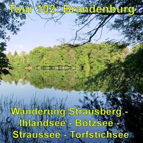 Ein idyllischer Waldsee, dessen ruhige Wasseroberfläche die umgebenden Bäume und den blauen Himmel spiegelt. Schilf und überhängende Äste im Vordergrund rahmen das natürliche Panorama ein.