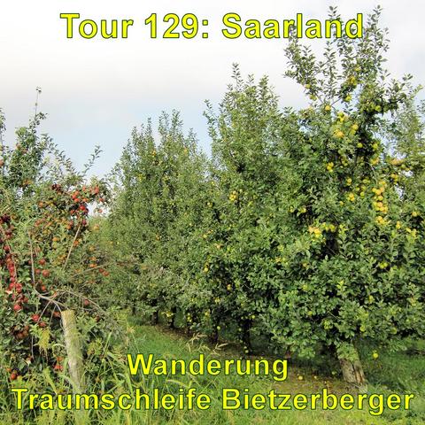 Eine Obstplantage mit reichlich beladenen Apfelbäumen. Die Äpfel zeigen verschiedene Reifegrade von grün bis rot. Die Bäume sind in Reihen angeordnet, was auf einen landwirtschaftlichen Betrieb schließen lässt. Das Blattwerk ist dicht und sattgrün, was darauf hinweist, dass die Aufnahme in der Wachstums- oder Erntezeit gemacht wurde. Der Himmel ist teilweise bewölkt.