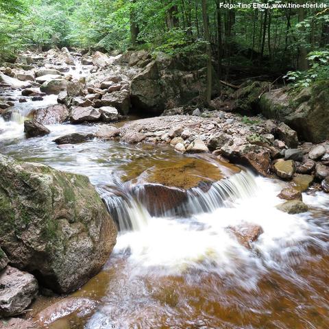 Gebirgsbach fließt in mehreren Kaskaden über glatte, teils moosüberwachsene Felsblöcke und bildet strahlend weiße Schaumkronen im Kontrast zum rostbraunen Wasser. Ufernah liegen größere Granitsteine, darüber türmen sich Schotterflächen aus kleineren Kieseln. Im Hintergrund erhebt sich dichter Mischwald mit schlanken Buchen- und Ahornstämmen, deren hellgrüne Kronen ein sanftes Licht filtern.