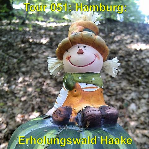 Eine bunte, lustige, dekorative Gartenfigur. Die Figur hat ein freundliches Gesicht mit roten Wangen und einem großen Lächeln. Sie trägt ein grünes Halstuch und einen Hut, der wie ein Kürbis aussieht. Die Figur sitzt auf einer Melone. Im Hintergrund ist Waldboden mit Laub zu erkennen.