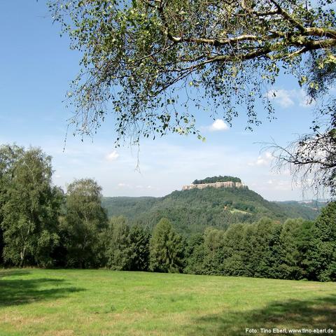 Grüne Wiesenfläche im Vordergrund, umgeben von Laub- und Nadelbäumen. In der Bildmitte erhebt sich ein markanter Tafelberg mit bewaldeter Kuppe und steil abfallenden Felswänden. Der Himmel ist überwiegend blau mit wenigen kleinen Wolken. Äste mit grünem Laub ragen von oben ins Bild und rahmen die Szene ein. Die Landschaft wirkt unberührt und weitläufig.