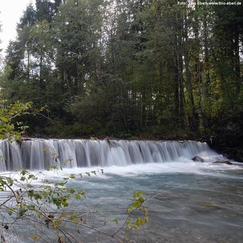 Ein breiter, niedriger Wasserfall mit gleichmäßig herabströmendem Wasser in einem Fluss mit türkisblauer Färbung. Im Vordergrund wachsen Zweige mit grünen Blättern ins Bild. Im Hintergrund steht ein dichter Mischwald mit hohen Bäumen.