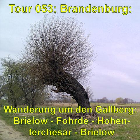 Ländliche Szene mit einem markanten, windschiefen Baum in der Mitte. Der Baum hat keine Blätter und seine Äste sind nach einer Seite geneigt, was auf stetige Windrichtung in dieser Gegend hinweist. Die Landschaft wirkt weit und offen mit einem flachen Horizont. Es gibt keine sichtbaren Gebäude oder andere Strukturen, nur ein einfacher Pfad im Vordergrund und spärliche Vegetation. Der Himmel ist bewölkt, was der Szene ein tristes Aussehen verleiht.