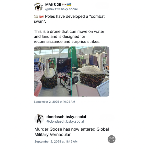 A tweet showing a camouflaged drone shaped like a swan at an exhibition, with the caption "Poles have developed a 'combat swan' drone for reconnaissance and surprise strikes." The reply reads, "Murder Goose has now entered Global Military Vernacular."