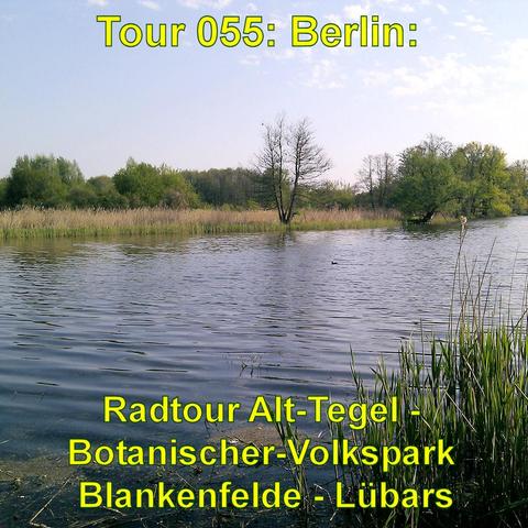 Ein ruhiger See mit Schilf und Bäumen am Ufer erstreckt sich in die Ferne. Im Wasser spiegelt sich die umliegende Vegetation, und im Hintergrund sind mehrere Bäume, teils kahl, teils grün, sichtbar. Das Ufer ist von dichtem Schilf bewachsen, das im Vordergrund gut zu erkennen ist. Der Himmel ist leicht bewölkt, und das Licht wirkt sanft und angenehm, was auf einen friedlichen Tag in einer natürlichen Umgebung hinweist.