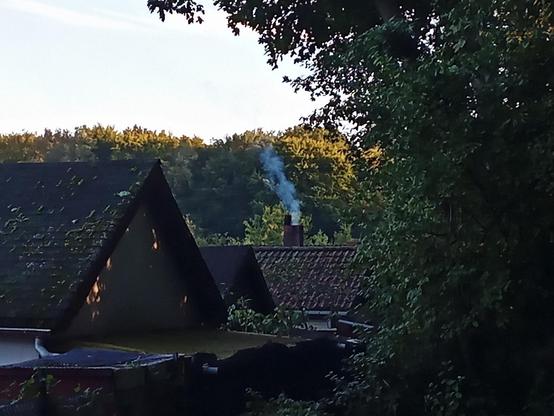 In einer Gartenanlage sind mehrere Häuser mit schrägen Dächern zu sehen, teils mit dunkler Dachdeckung, teils mit roten Ziegeln. Aus einem Schornstein in der Bildmitte steigt eine sichtbare Rauchfahne gerade nach oben, was auf eine laufende Feuerstelle im Inneren hinweist. Im Vordergrund und rechts befinden sich Bäume mit dichtem, grünem Laub. Im Hintergrund ist ein bewaldeter Hügel im warmen Licht der tief stehenden Sonne beleuchtet.