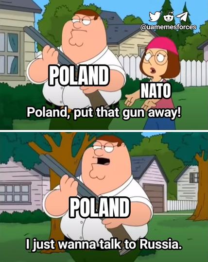 2 frame still from Family Guy. 

Frame 1: Peter Griffin, labeled Poland, holds a shotgun as Meg, labeled NATO, pleads with him, “Poland, put that gun away!” 

Frame 2: Peter Griffin, labeled Poland and holding the shotgun, says, “I just wanna talk to Russia.”