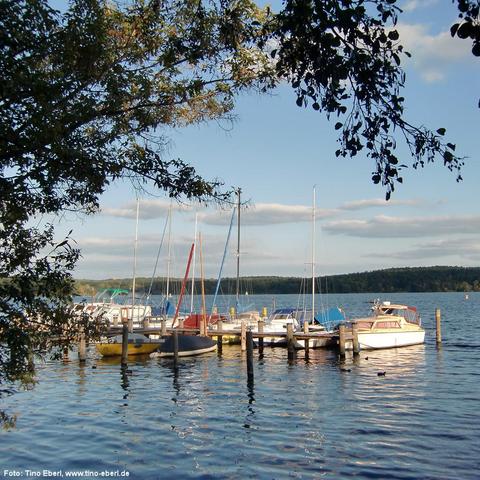 Kleiner Bootshafen mit mehreren festgemachten Segel- und Motorbooten an einem Holzsteg. Die Boote haben bunte Rümpfe und Segelstangen, die senkrecht in den Himmel ragen. Das Wasser ist leicht bewegt und spiegelt die Masten. Im Hintergrund bewaldetes Ufer und ein teils bewölkter Himmel. Äste mit Blättern rahmen das Bild oben und seitlich ein.
