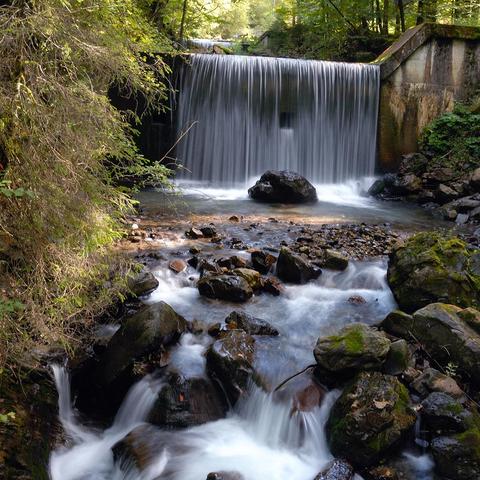 Ein Wasserfall fließt gleichmäßig über eine gerade, künstliche Betonmauer in einen steinigen Bachlauf. Das Wasser fällt in einem breiten Vorhang herab und trifft auf einen großen Felsen im Becken darunter. Der Bach verläuft über zahlreiche kleinere Felsen und Steine, das Wasser fließt schäumend und klar durch das unebene Gelände. Umgeben ist die Szene von dichtem, grünem Wald. Links hängen Äste und Zweige mit grünem Laub über den Wasserlauf, rechts ragt ein moosbedeckter Fels hervor.