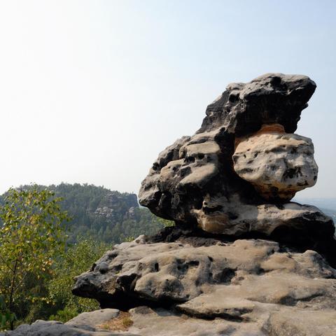 Ein markanter Felsen aus dunklem und hellem Gestein mit unregelmäßiger Oberfläche und ausgeprägten Vertiefungen ragt im Vordergrund empor. Der Fels hat eine auffällige Form mit einer überhängenden Struktur. Im Hintergrund erstreckt sich ein bewaldetes Hügelland mit weiteren Felsformationen. Der Himmel ist hell und leicht diesig, ohne sichtbare Wolken. Links im Bild wächst ein kleiner Laubbaum mit grünen Blättern am Rand der Felsfläche.