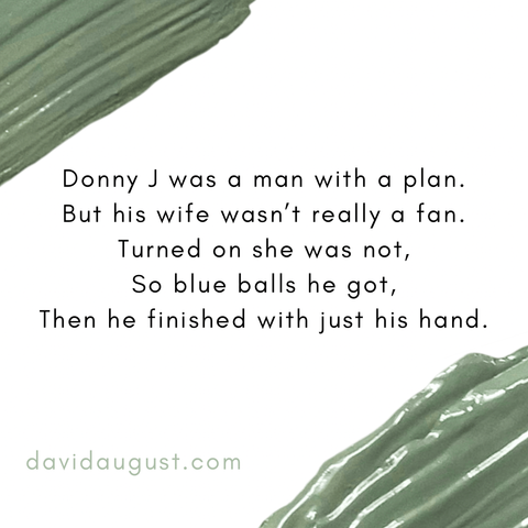 Donny J was a man with a plan.
But his wife wasn’t really a fan.
Turned on she was not,
So blue balls he got,
Then he finished with just his hand. 

davidaugust.com