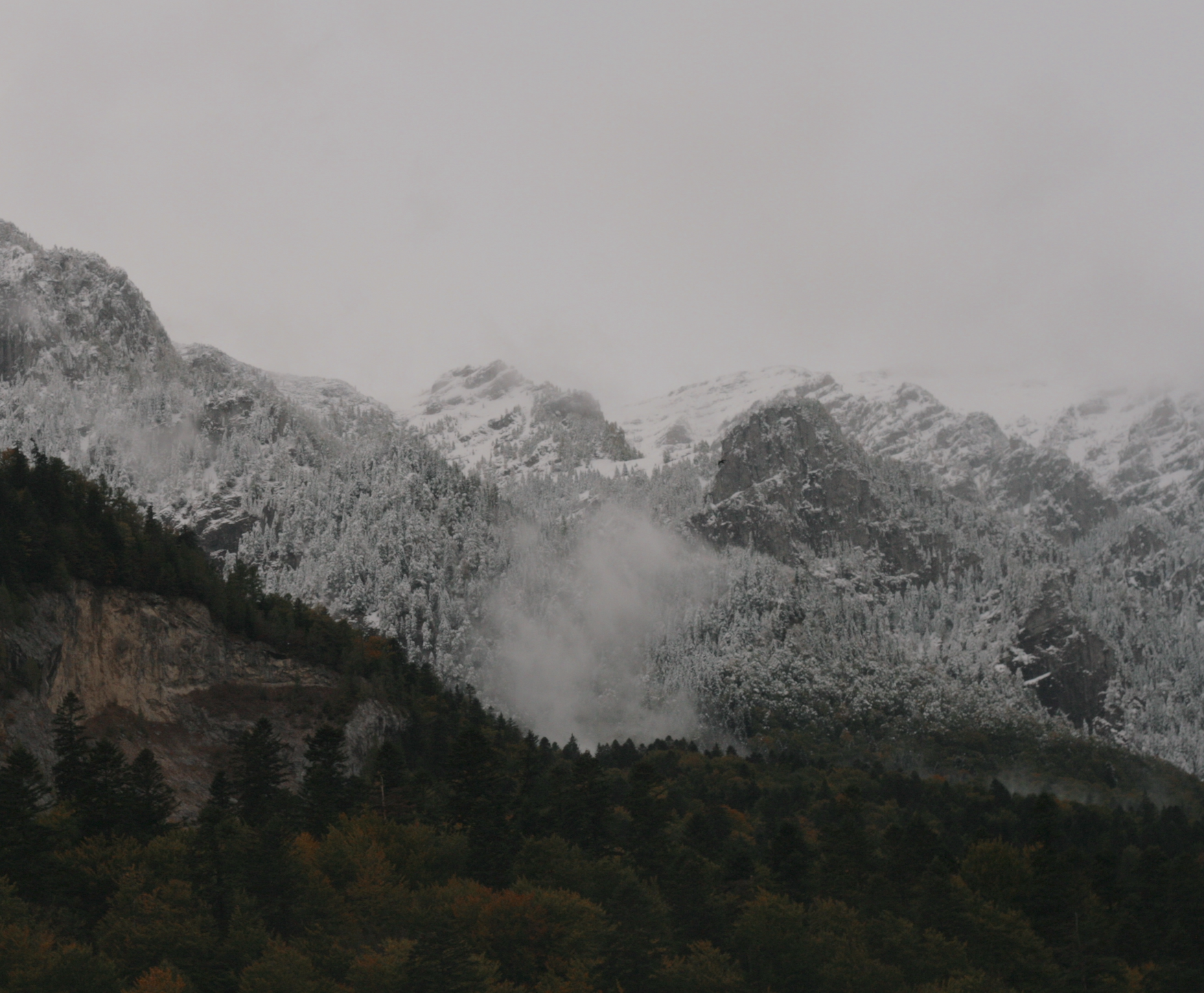 a view from the train of mountains in Romania, full of trees but covered in snow and shrouded in clouds. ground at lower elevation in the foreground is brown and dark green with trees and cover