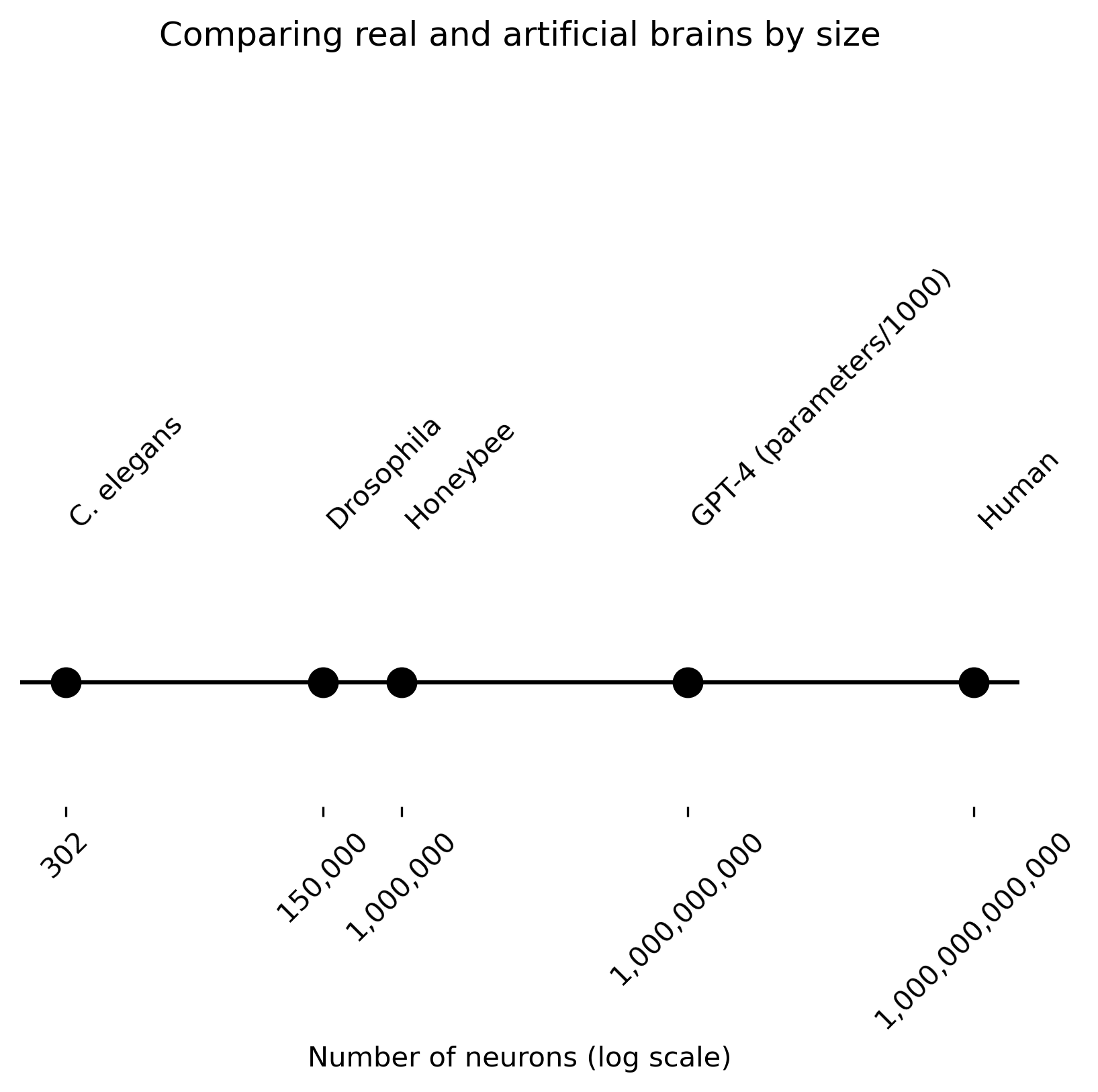 Plot 
 Comparing real and artificial brains by size 
 Line with points along 
 Label: number of neurons (log scale) 
 From left                  Brain       Neurons
             C. elegans           302
             Drosophila        150000
               Honeybee       1000000
GPT-4 (parameters/1000)    1000000000
                  Human 1000000000000