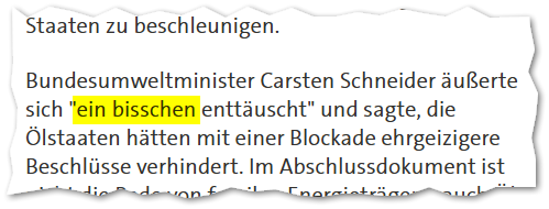 Bundesumweltminister Carsten Schneider äußerte sich "ein bisschen enttäuscht" und sagte, die Ölstaaten hätten mit einer Blockade ehrgeizigere Beschlüsse verhindert.