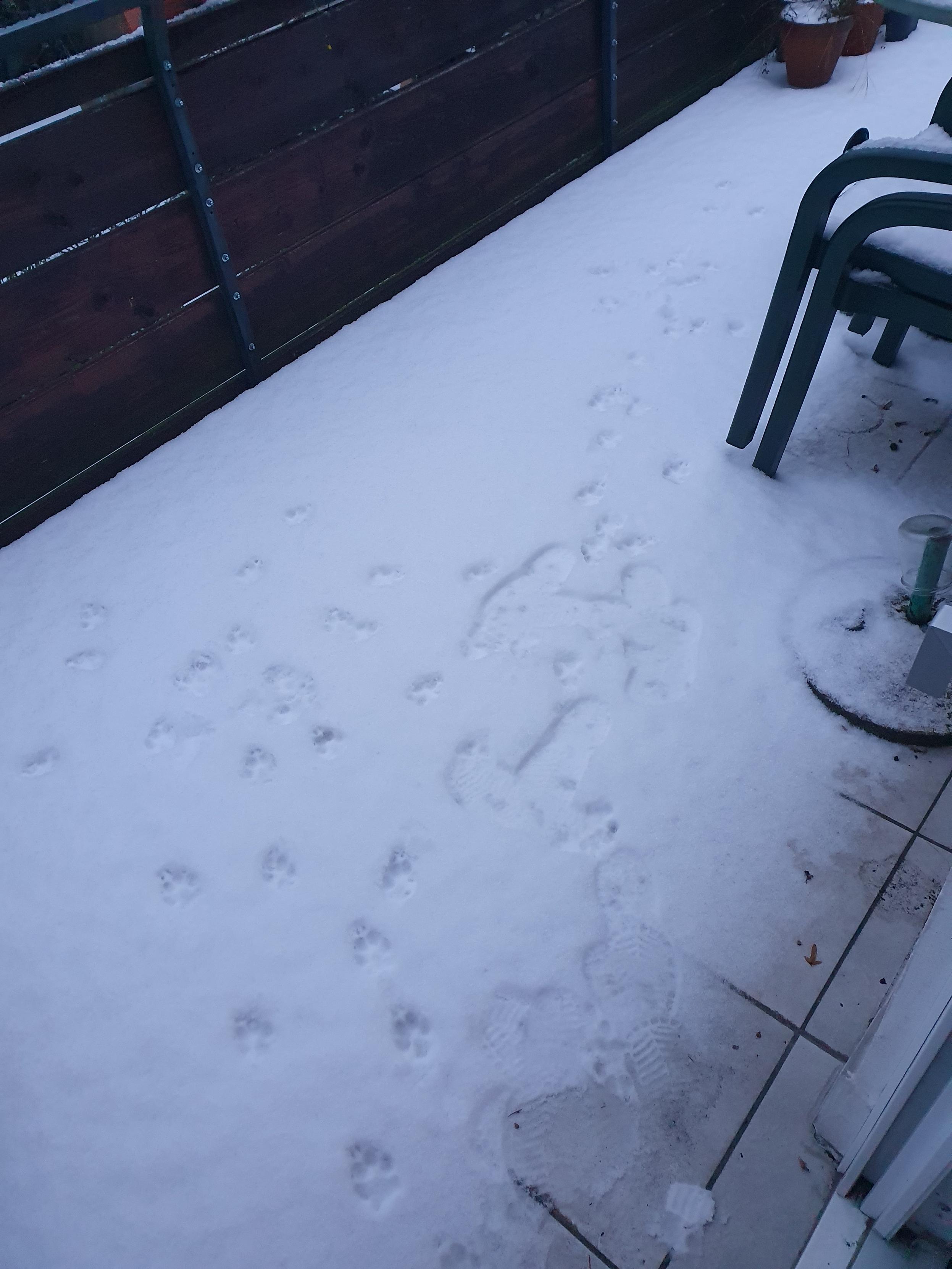발코니 바닥에 눈이 2cm 정도 쌓여 있고 그 위에 강아지 발자국이랑 사람 신발자국이 여럿 있다.