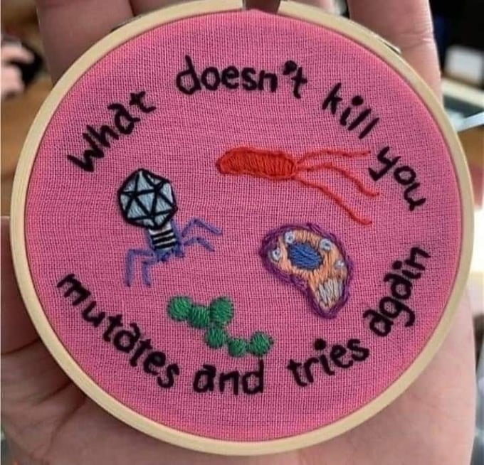 A cute little embroidery of viruses and bacteria against a pink textile background saying "What doesn't kill you mutates and tries again" along the upper and lower edges framing the microorganisms.
Picture shamelessly "backed up" from Mastodon.