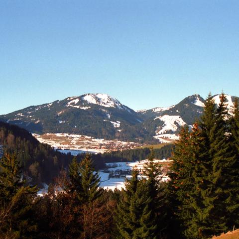 Blick Richtung Oberstdorf unter klarem, blauem Himmel. Im Vordergrund stehen Tannen, die den Blick auf das schneebedeckte Tal mit verstreuten Häusern und Feldern freigeben. Dahinter erheben sich bewaldete Berghänge mit schneebedeckten Kuppen. Die Sonne beleuchtet die Landschaft, während einige Bereiche in den Tälern im Schatten liegen.